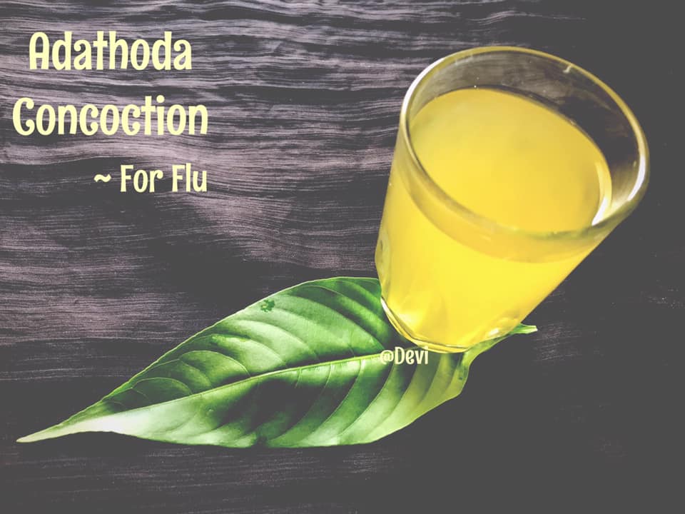 Adathoda Concoction