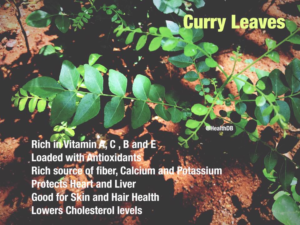 Benefits of Curry Leaves