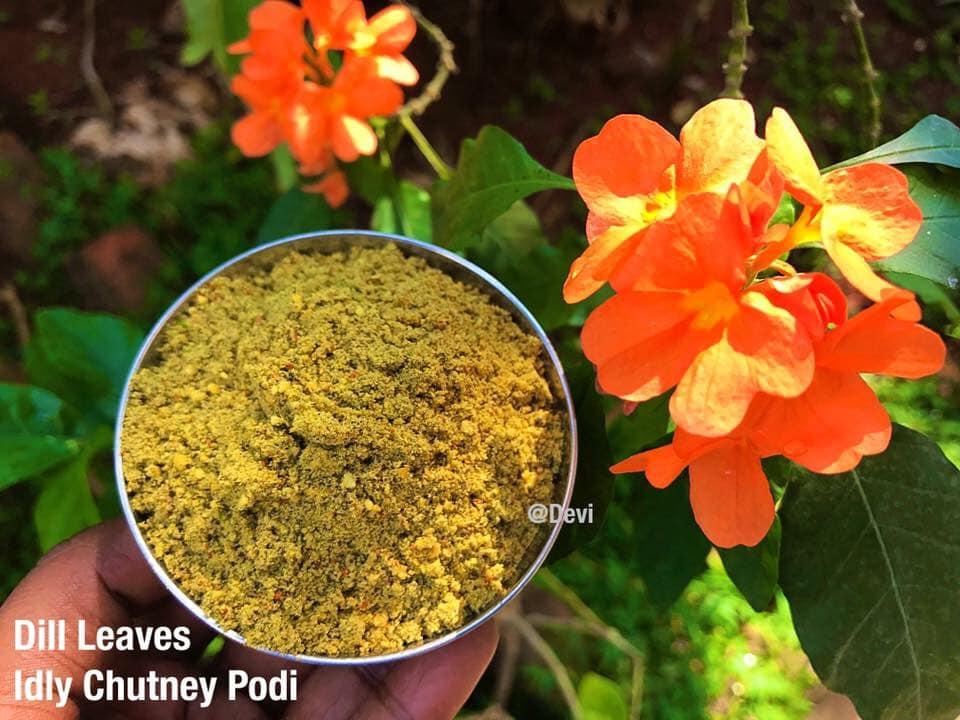 Dill Leaves Idly Podi