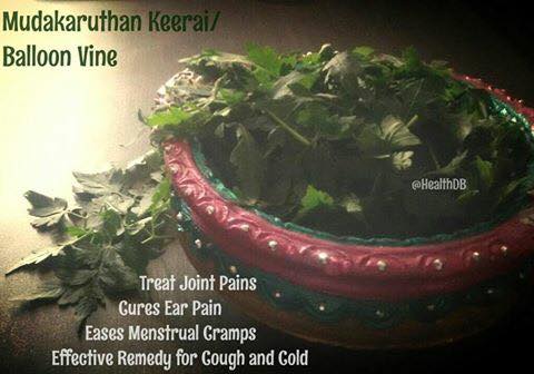 Mudakkaruthaan Keerai Benefits