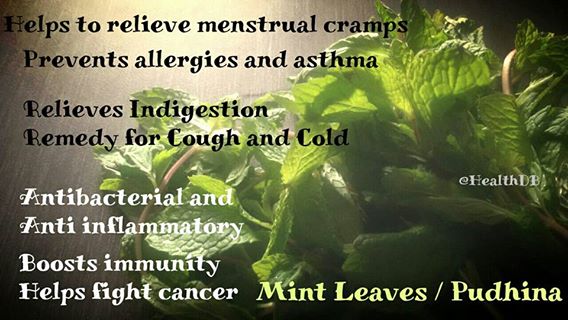 Benefits of Mint Leaves