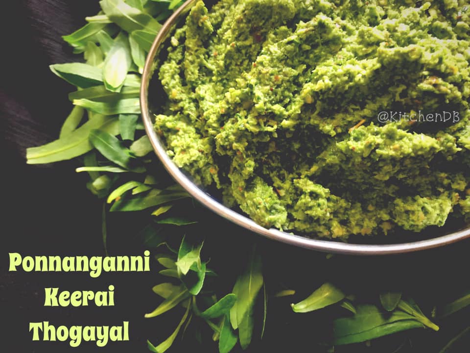 Naattu  Ponnanganni Keerai Thogayal