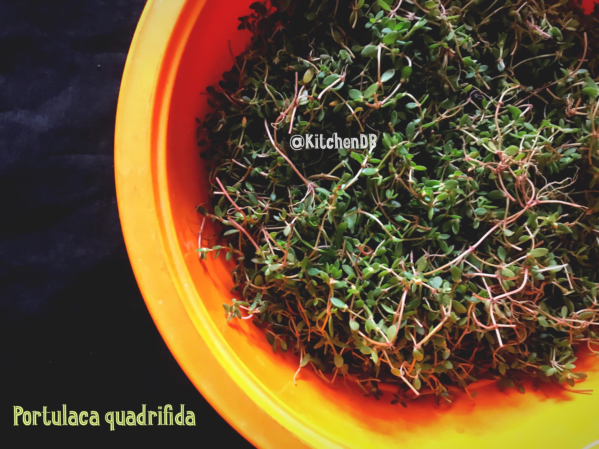 The whole bunch which can be washed well in a colander 