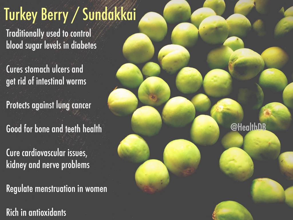 Health Benefits of Turkey Berry / Sundakkai